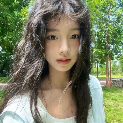 树木之城